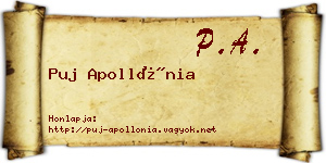 Puj Apollónia névjegykártya